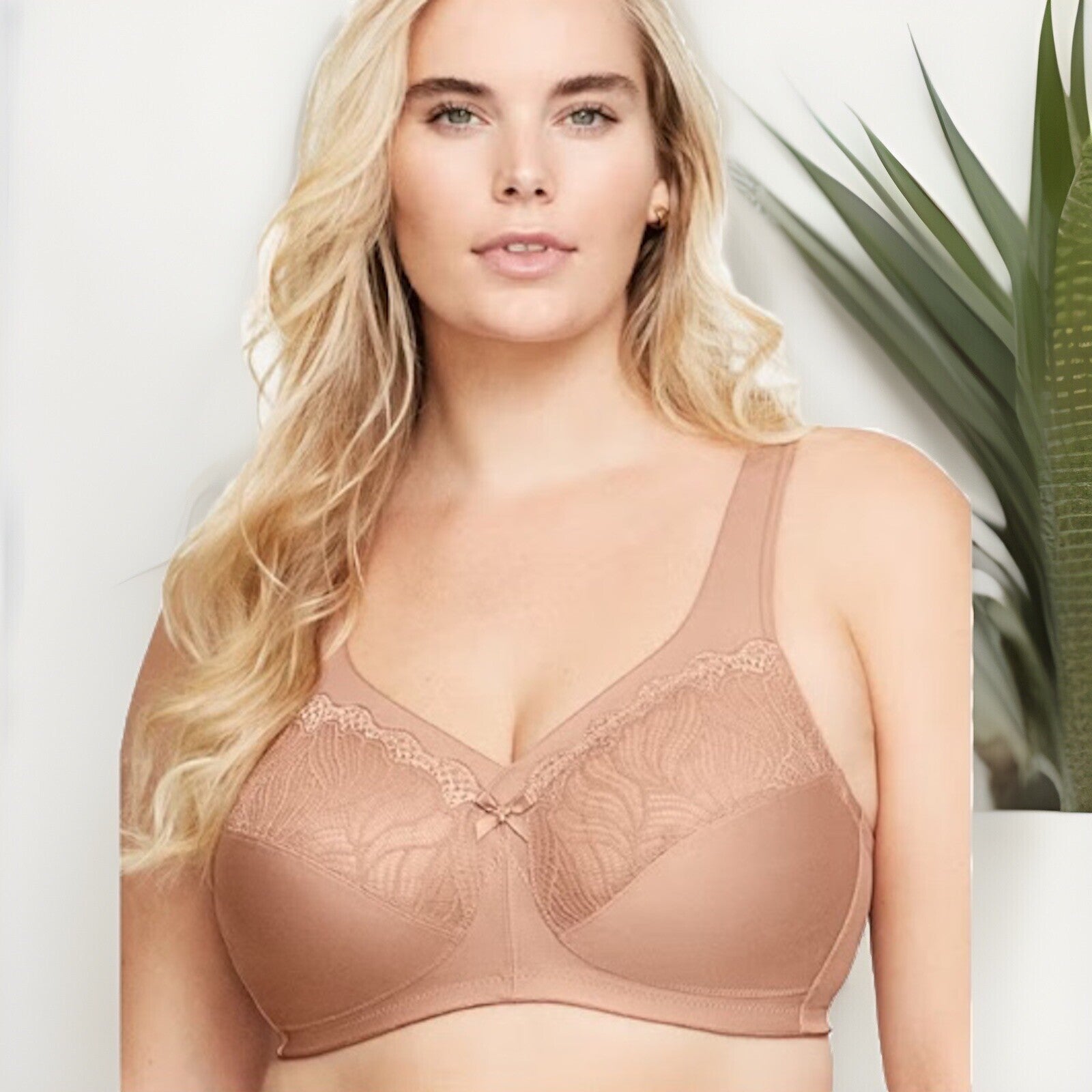 Glamorise Full-Figure Minimizer Bra 46D Brown