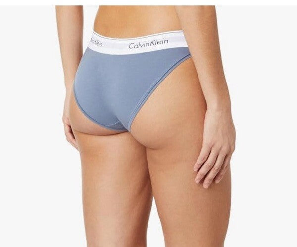 Calvin Klein Underwear Women's  Modern Cotton Bikini Pantie XL