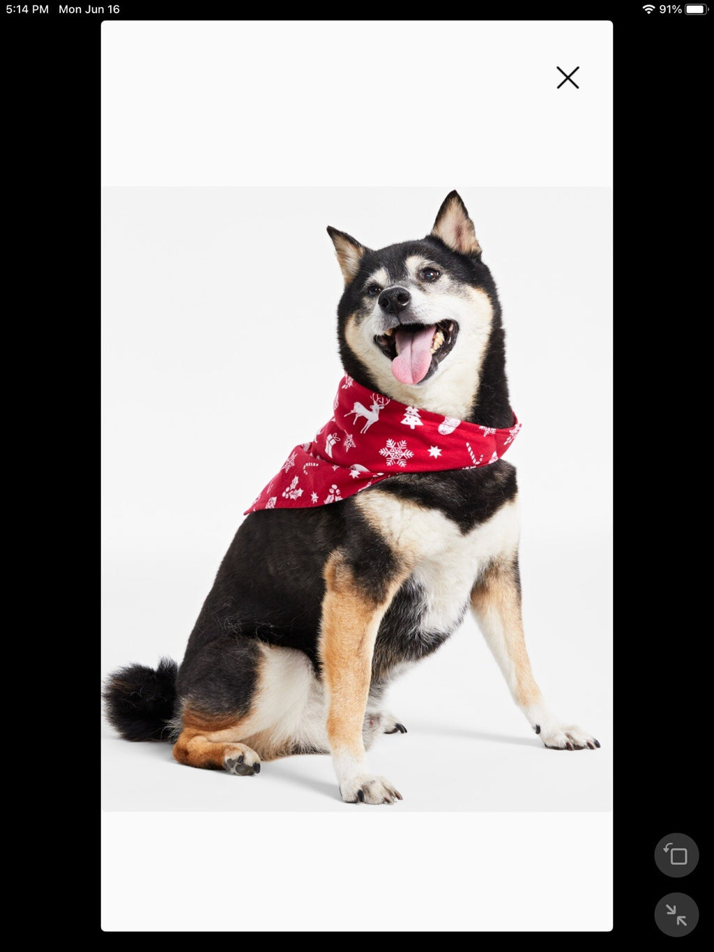 Family Pajamas Matching Merry Cotton Printed Pet Bandana S/M Red