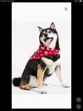 Family Pajamas Matching Merry Cotton Printed Pet Bandana S/M Red