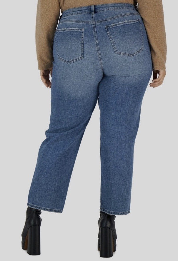 Celebrity Pink Trendy Plus Size Straight-Leg Jeans Size 22 Tordino 