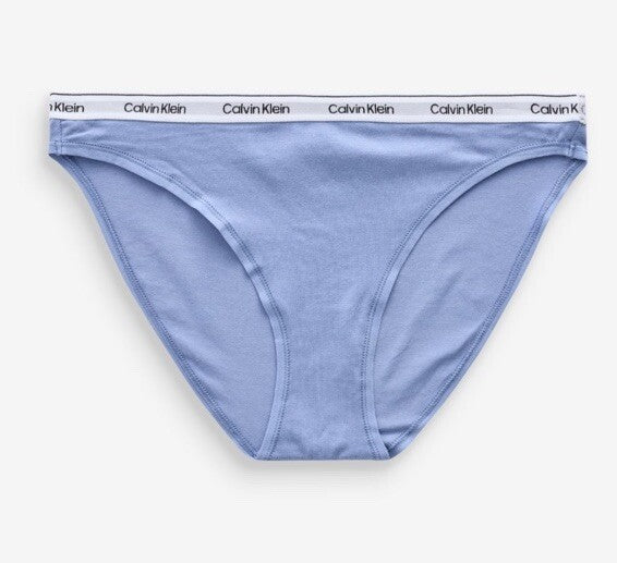 Calvin Klein Underwear Women's  Modern Cotton Bikini Pantie XL