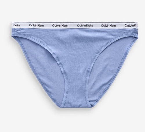 Calvin Klein Underwear Women's  Modern Cotton Bikini Pantie XL