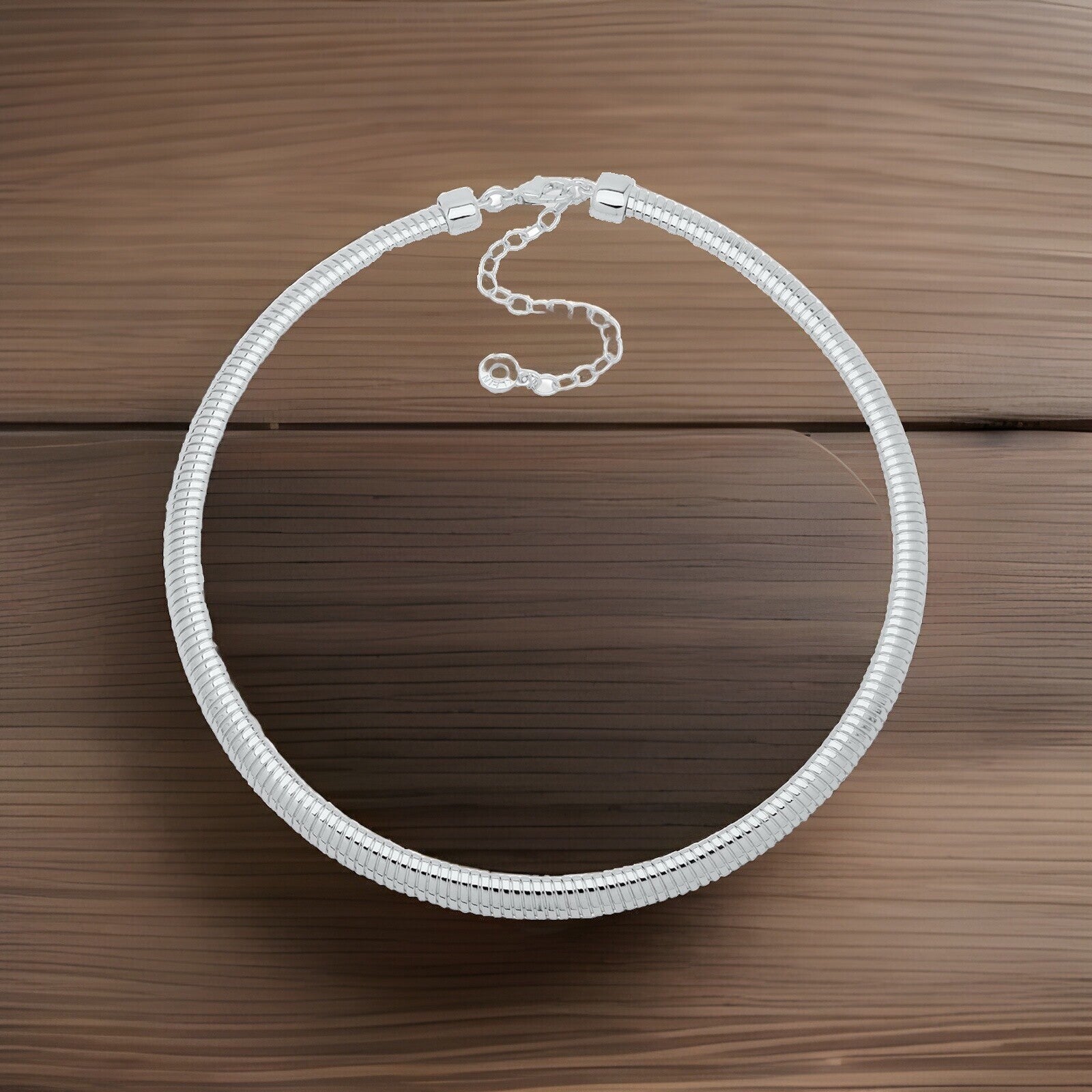 Silver Disc Chain Collar Necklace