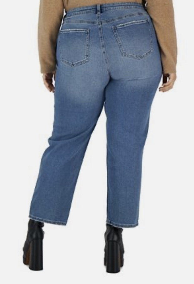 Celebrity Pink Trendy Plus Size Straight-Leg Jeans Tordino Size 24