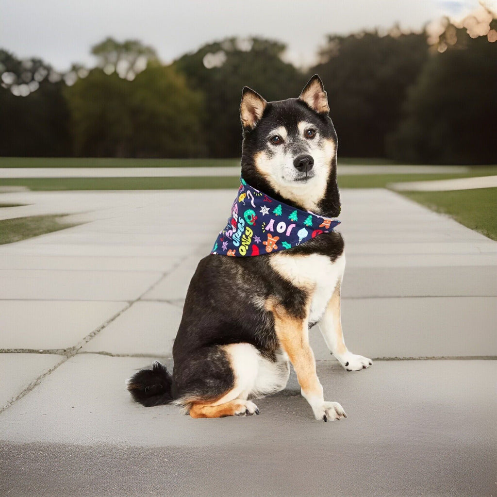 Family Pajamas Holiday Toss Cotton Pet Bandana Multicolor L/XL