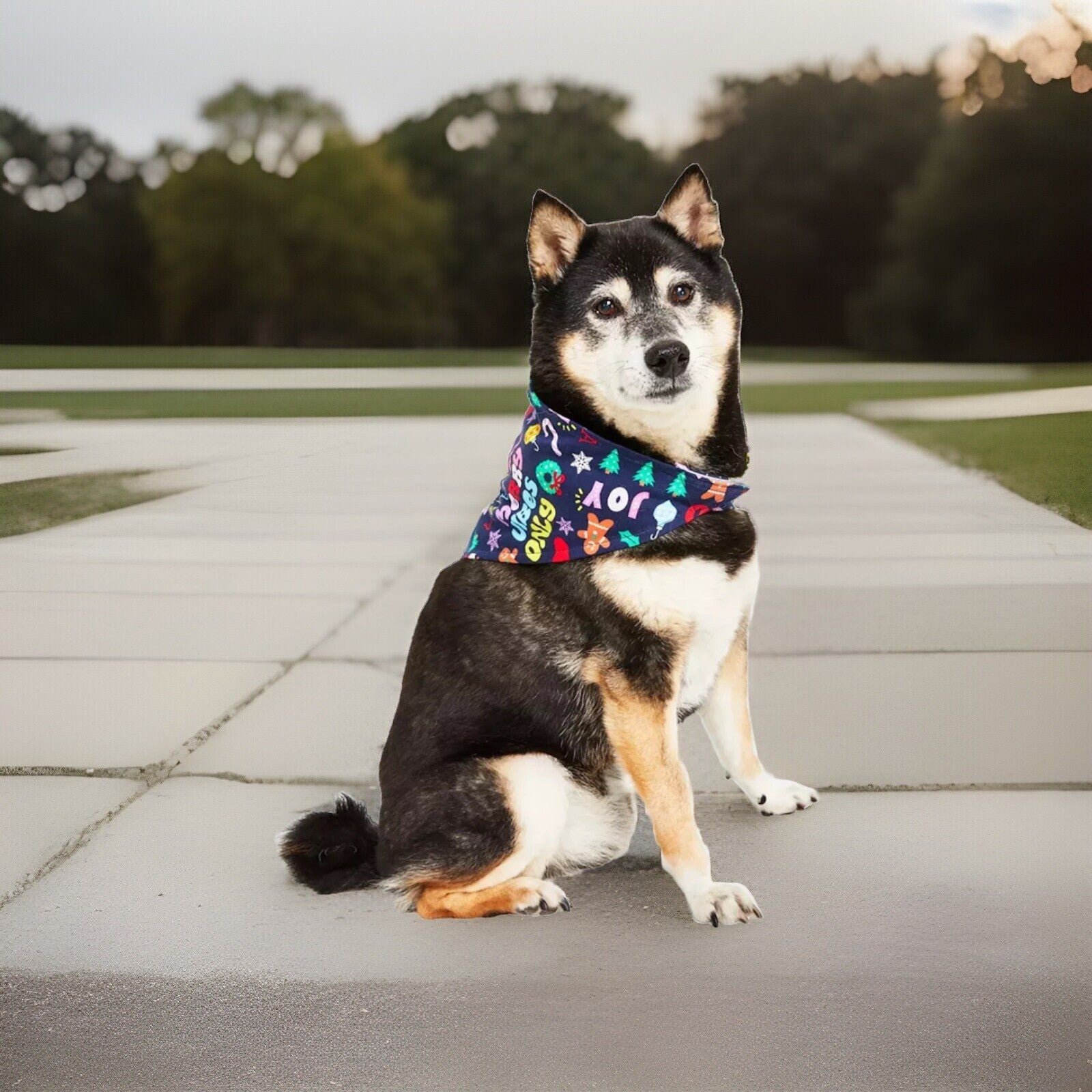 Family Pajamas Holiday Toss Cotton Pet Bandana Multicolor L/XL