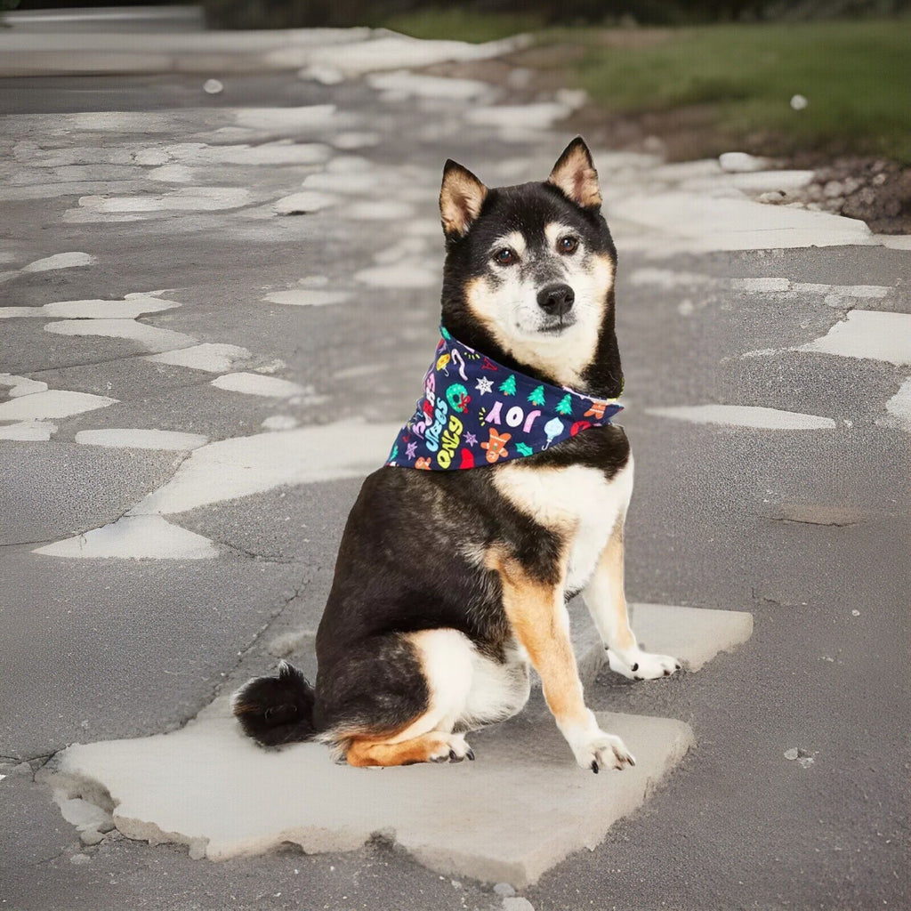 Family Pajamas Holiday Toss Cotton Pet Bandana Multicolor S/M