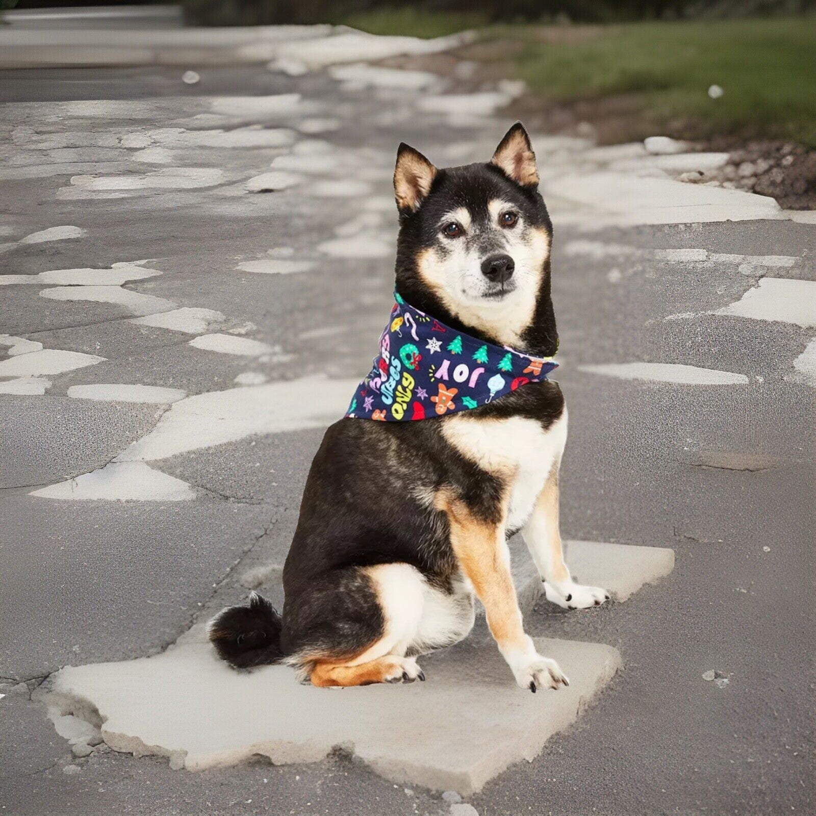 Family Pajamas Holiday Toss Cotton Pet Bandana Multicolor S/M
