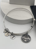 alex and ani energy bracelet