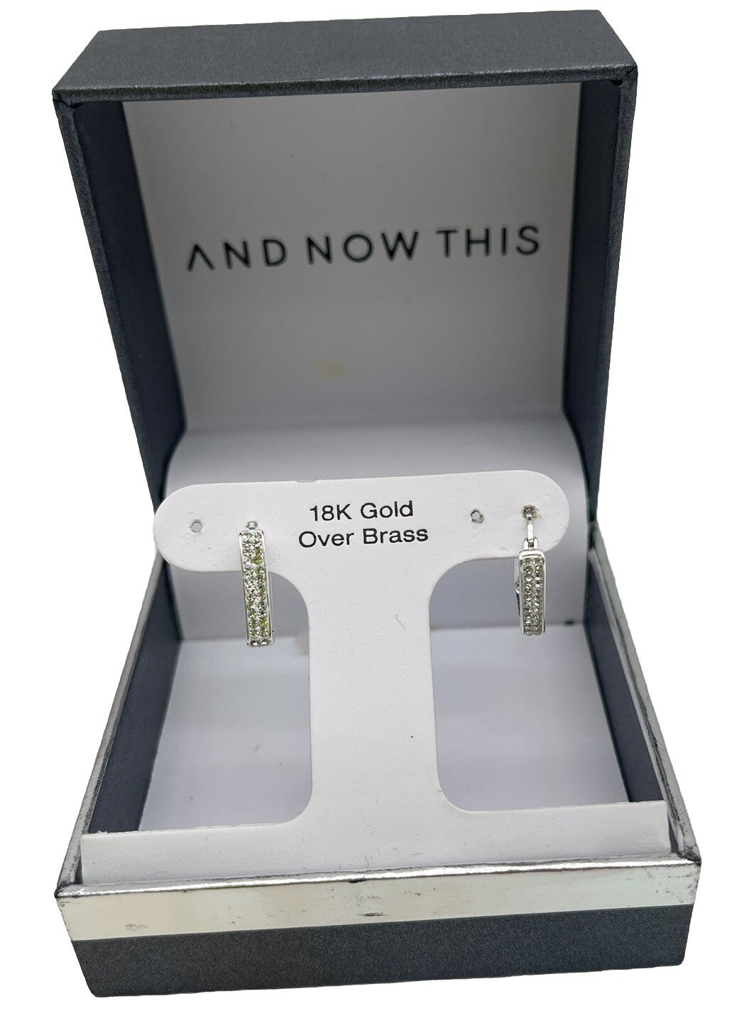And Now This Earrings 18 K Gold Over Brass