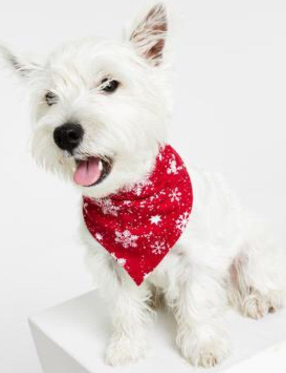 Family Pajamas Matching Pet Merry Snowflake Bandana L/XL