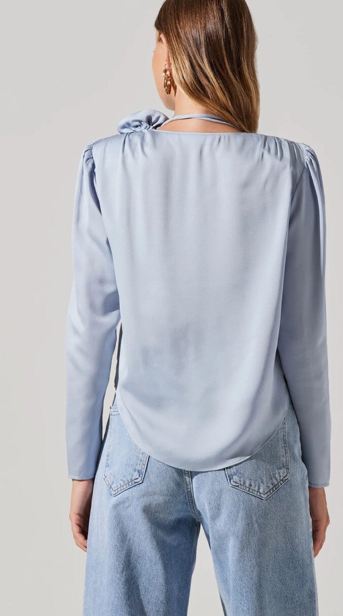 Lovisa Satin Long Sleeve Corsage Top Medium Powder Blue 