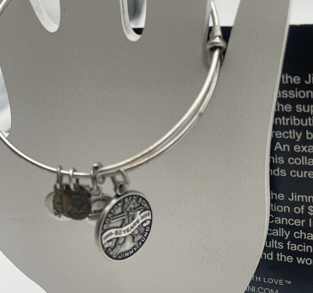 alex and ani energy bracelet
